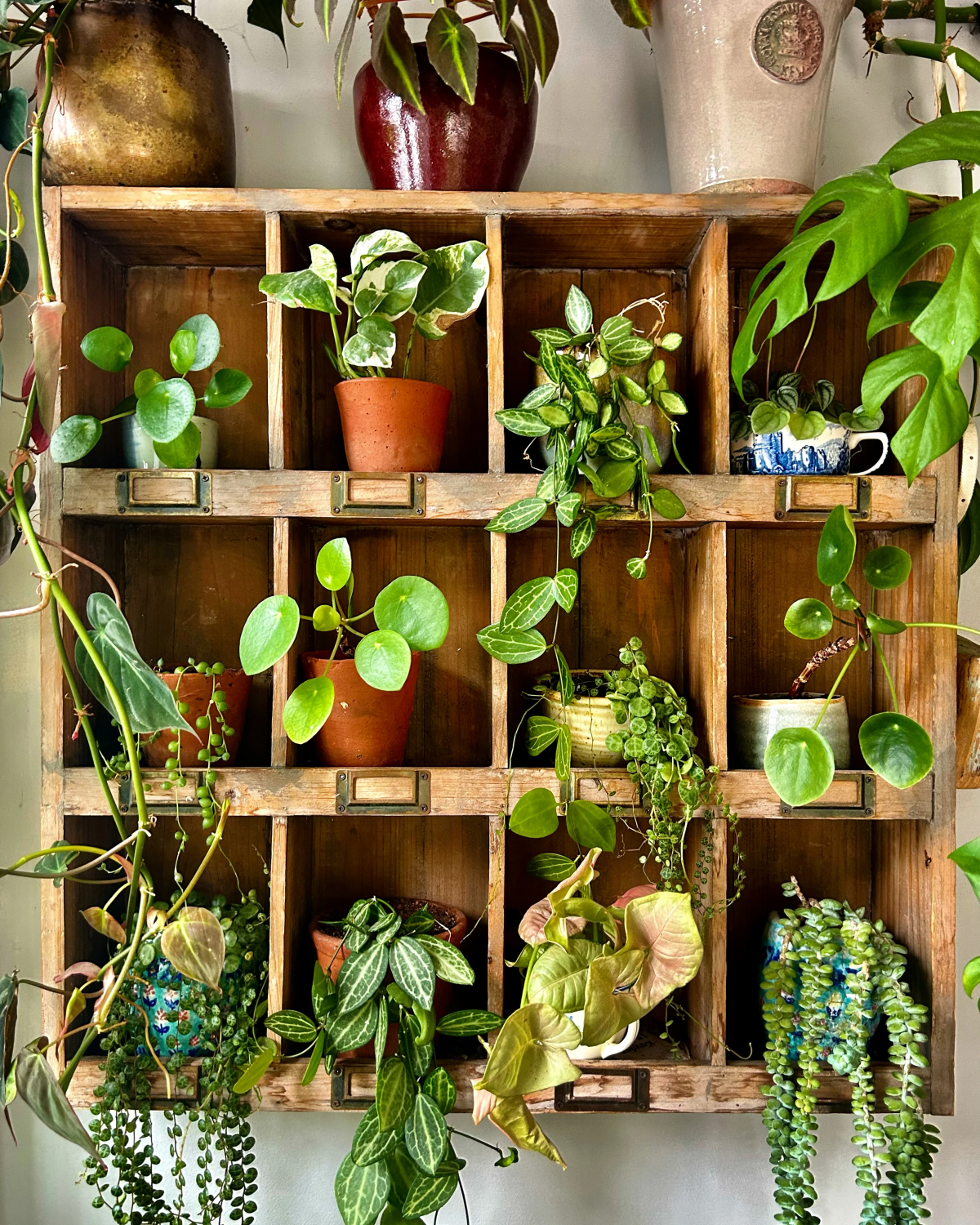 living room indoor plant wall ideas.jpg