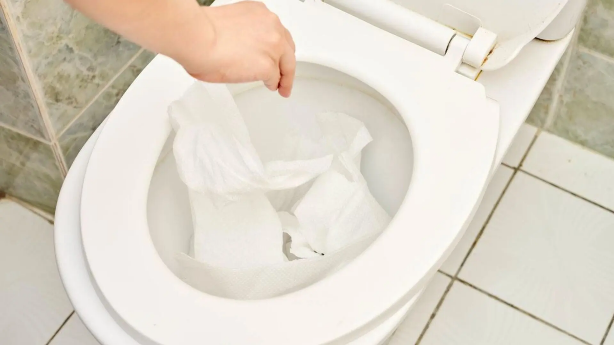 paper clog in toilet