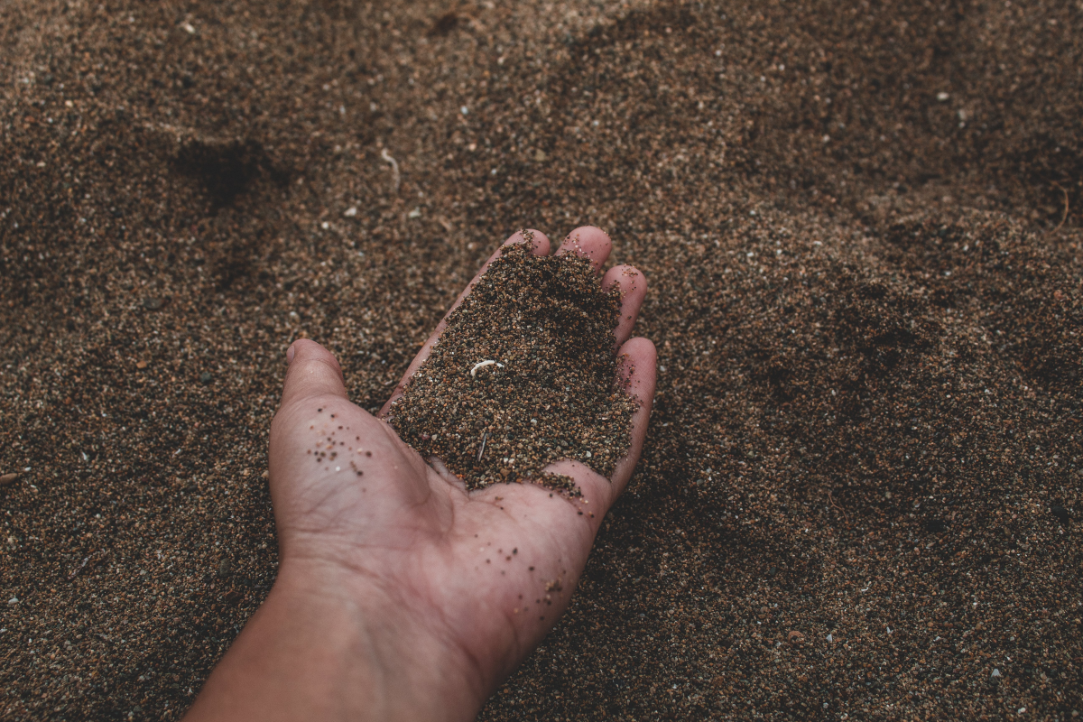 person holding soil in hand