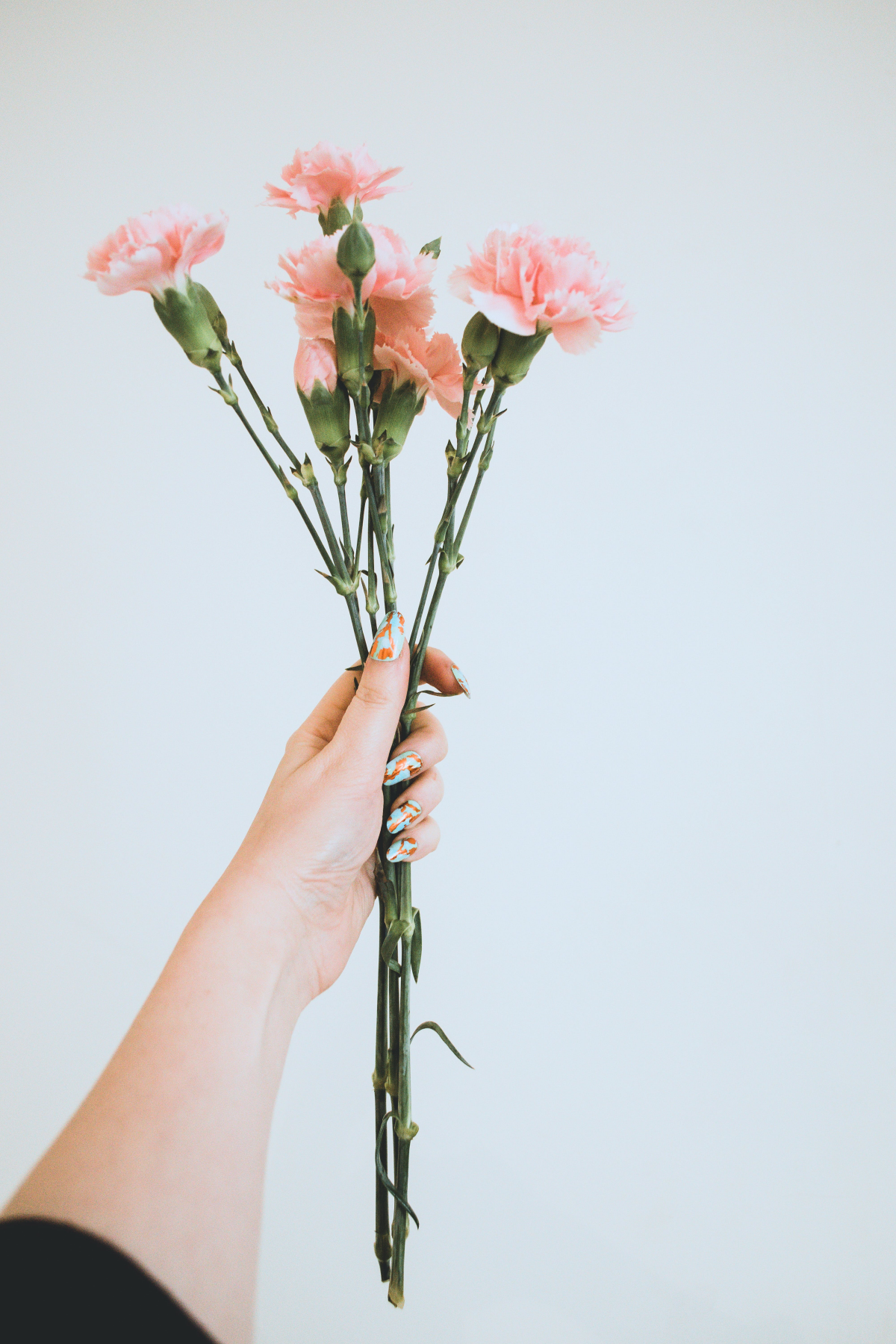 pink carnations in hand