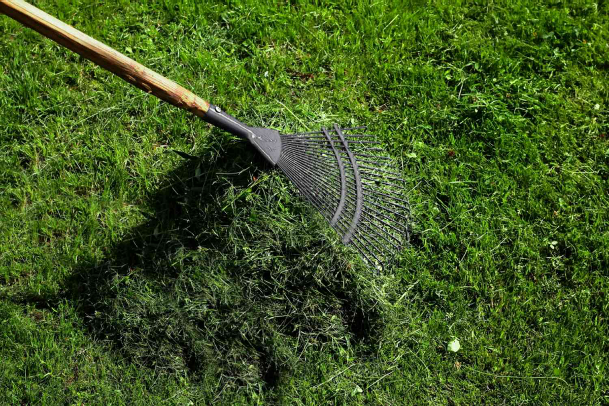 raking grass clippings