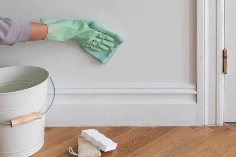 wall cleaner person cleaning the walls