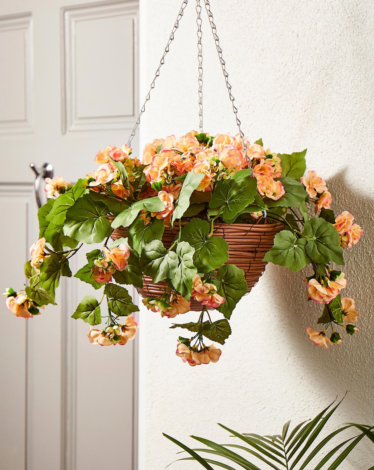 Your Guide to Taking Care of a Thriving Weeping Begonia Plant