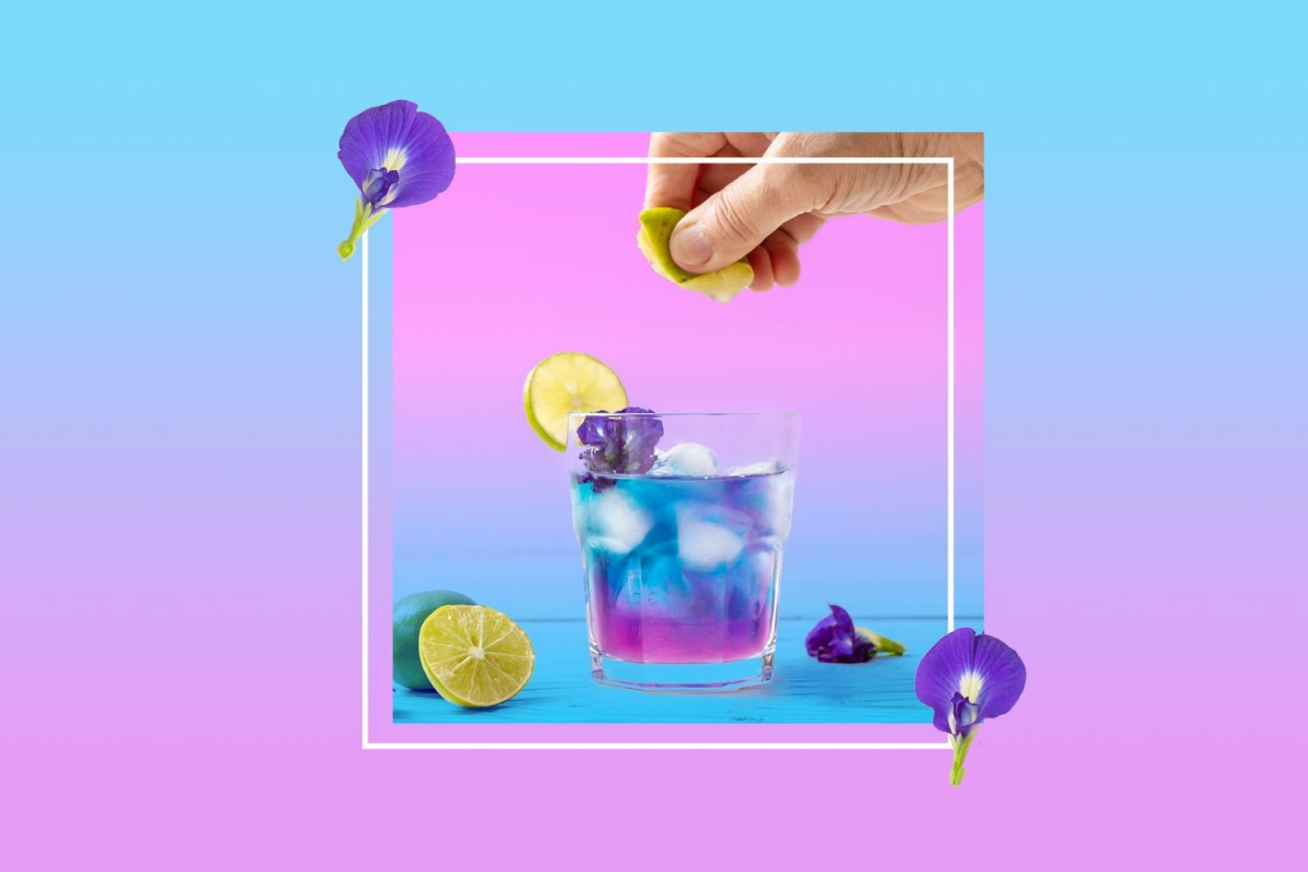 what is butterfly pea flower