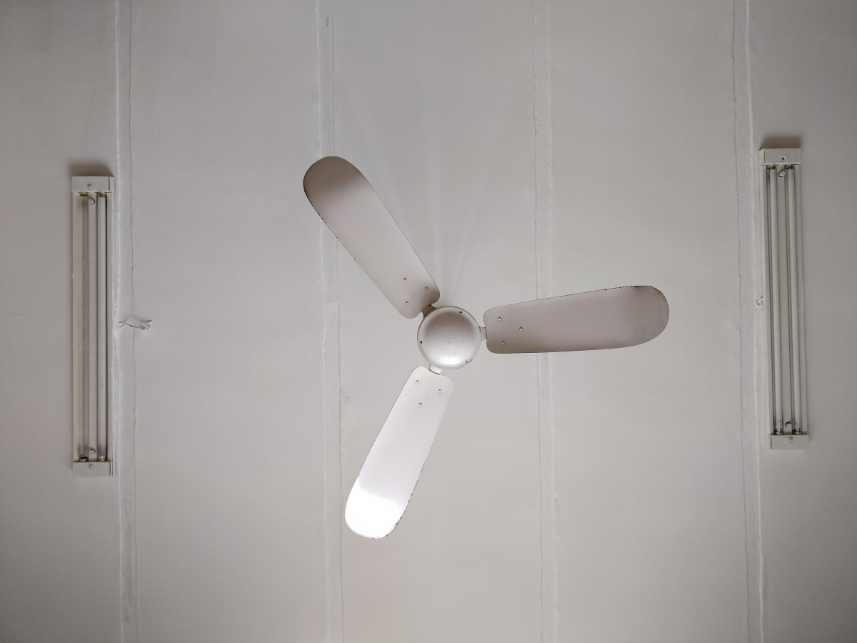 white ceiling fan