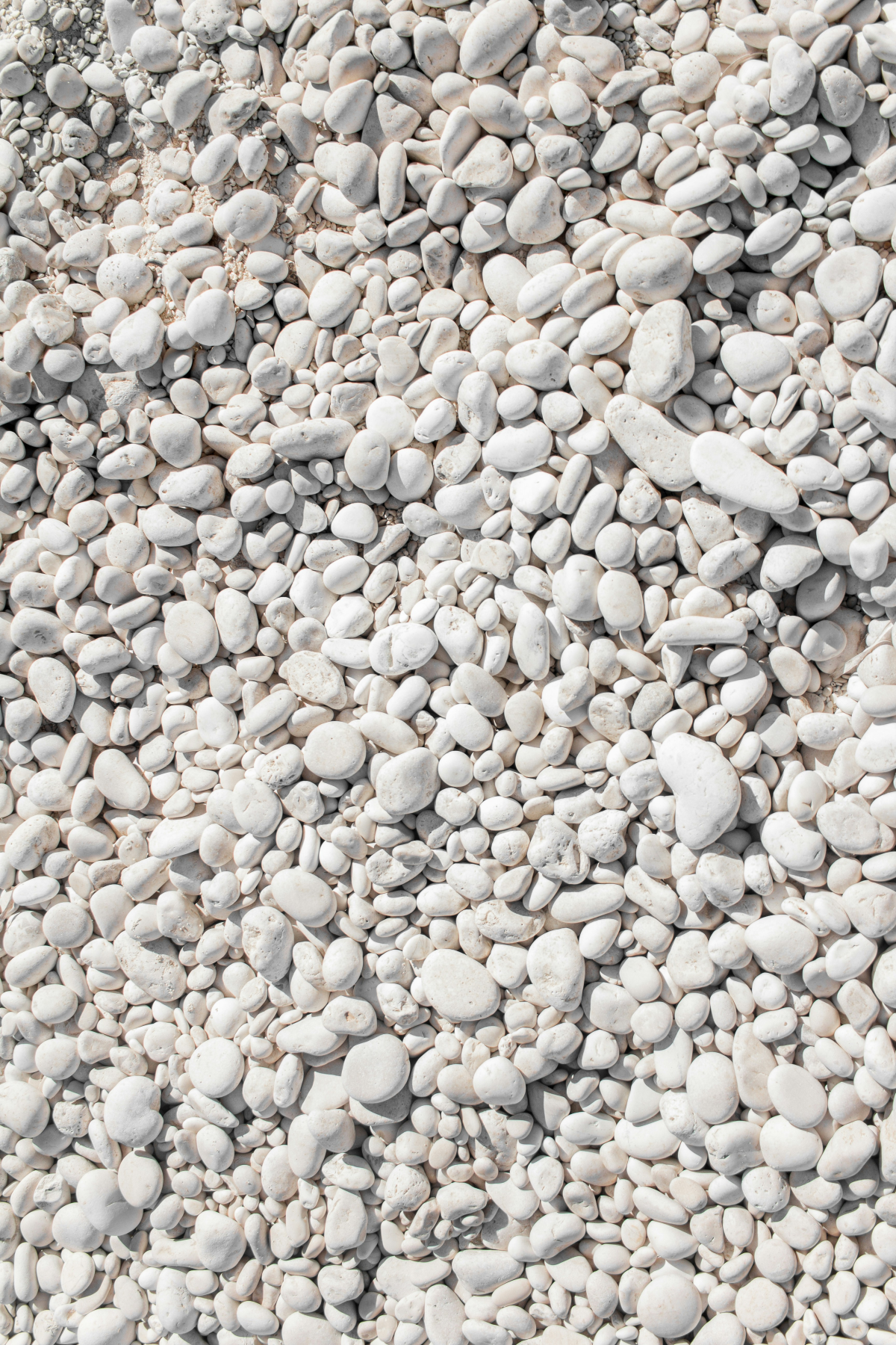 white pebbles for soil