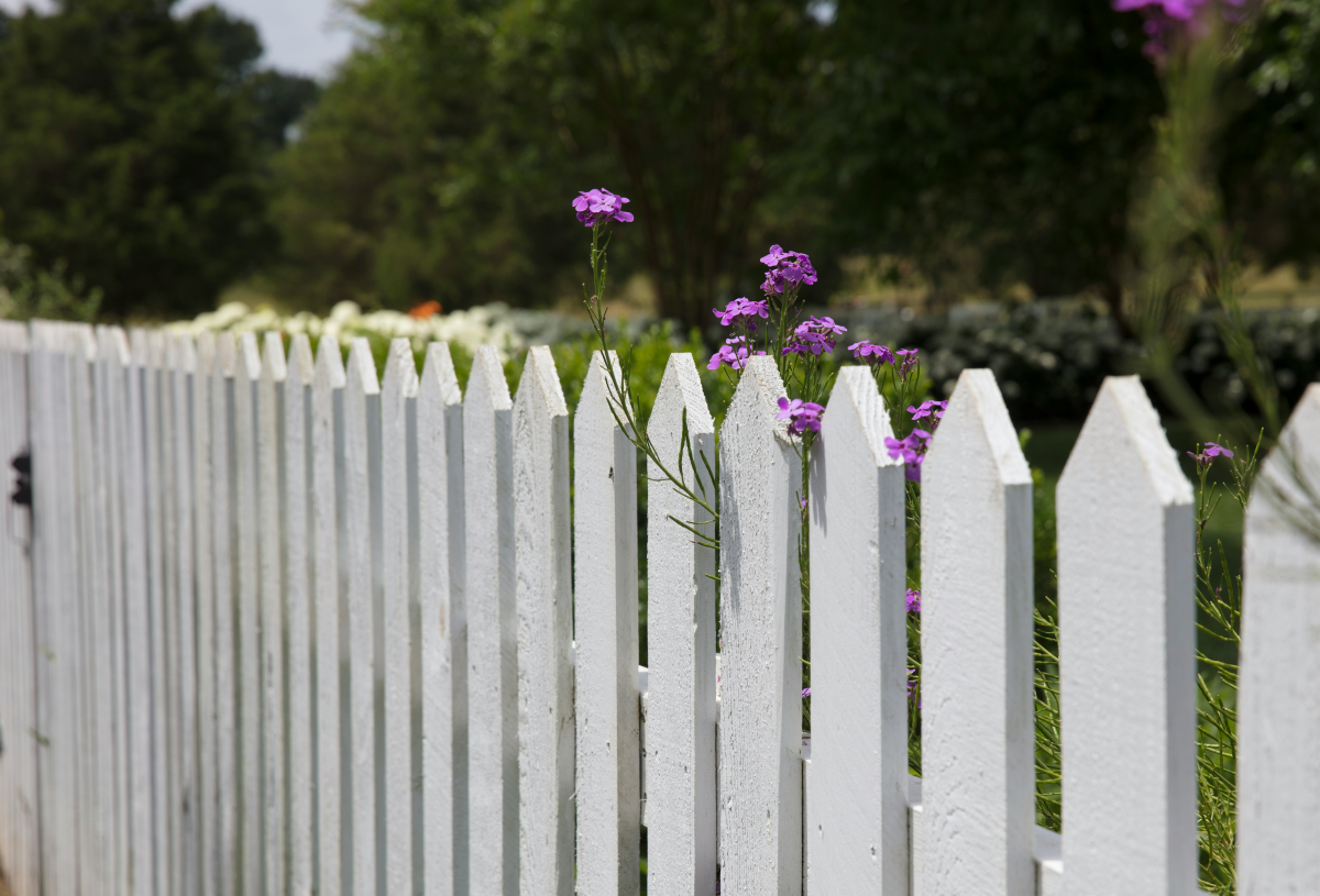 8 Stylish And Functional Privacy Fence Ideas For Every Home