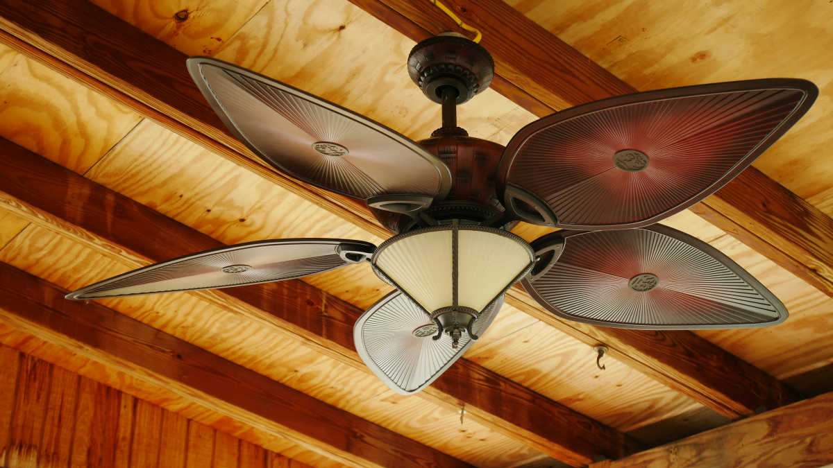 wide fan on ceiling