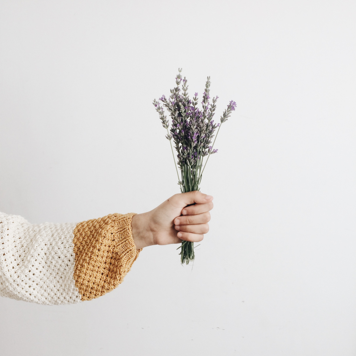 woman holding bouquet of lavender
