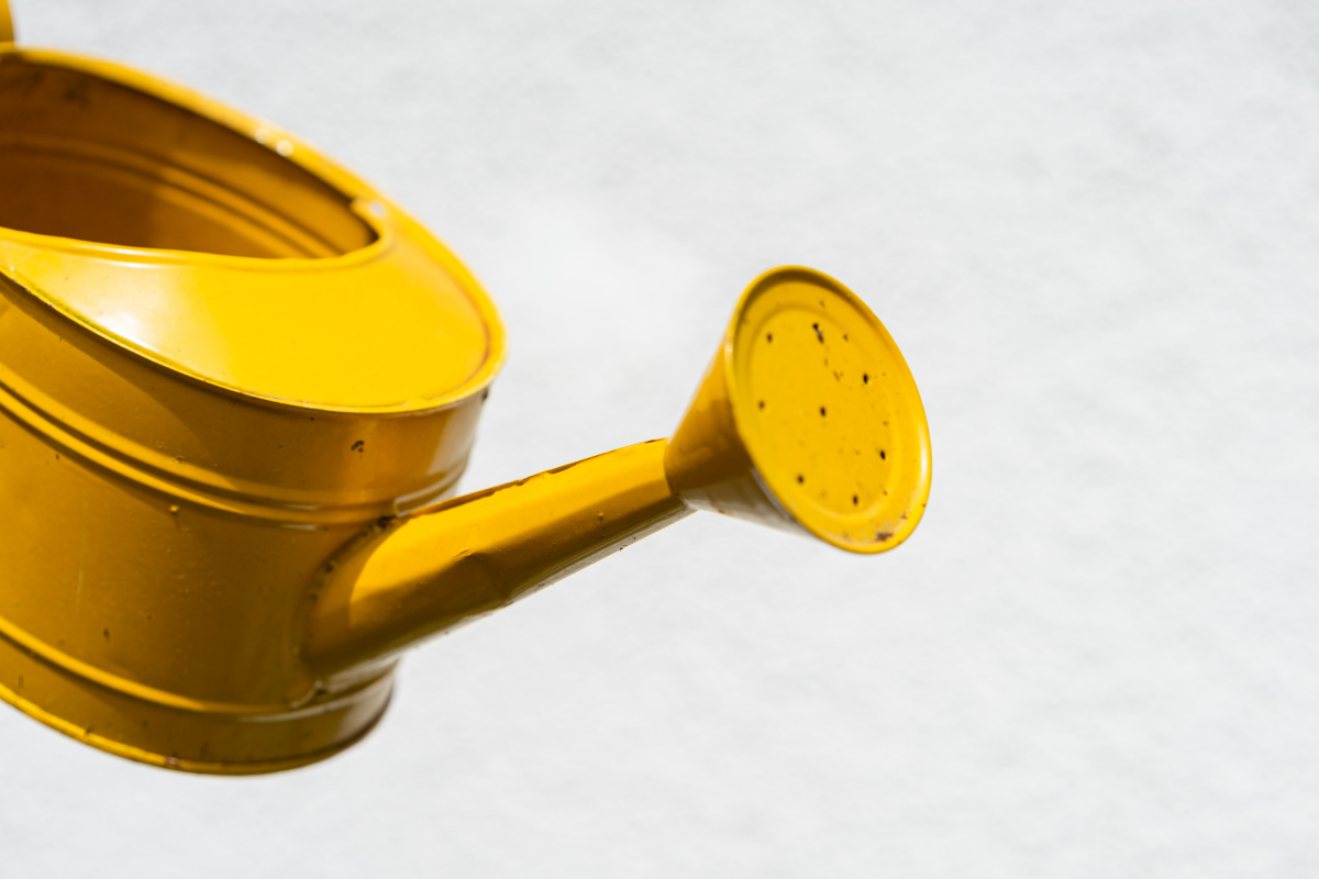 yellow watering can