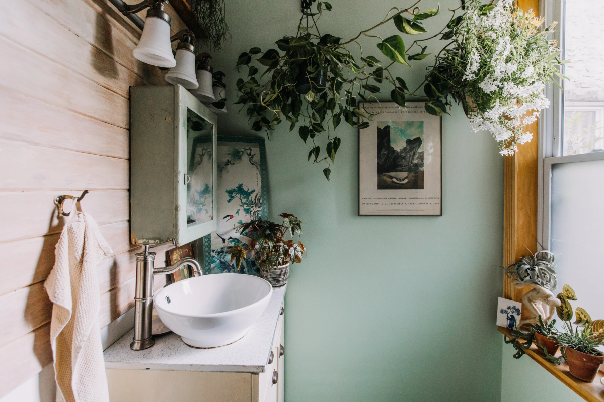 bathroom paint sage green