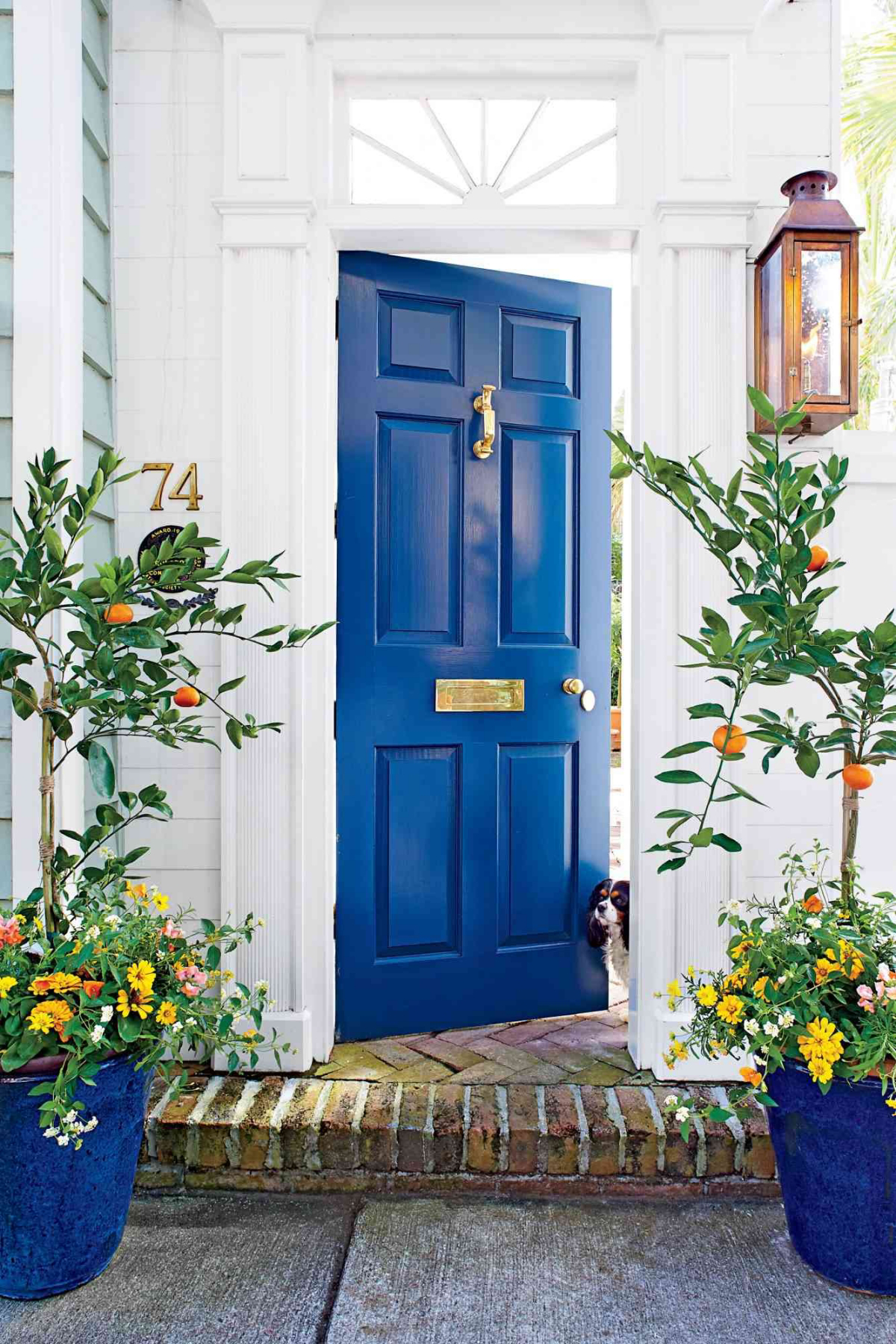 blue paint colors for front door