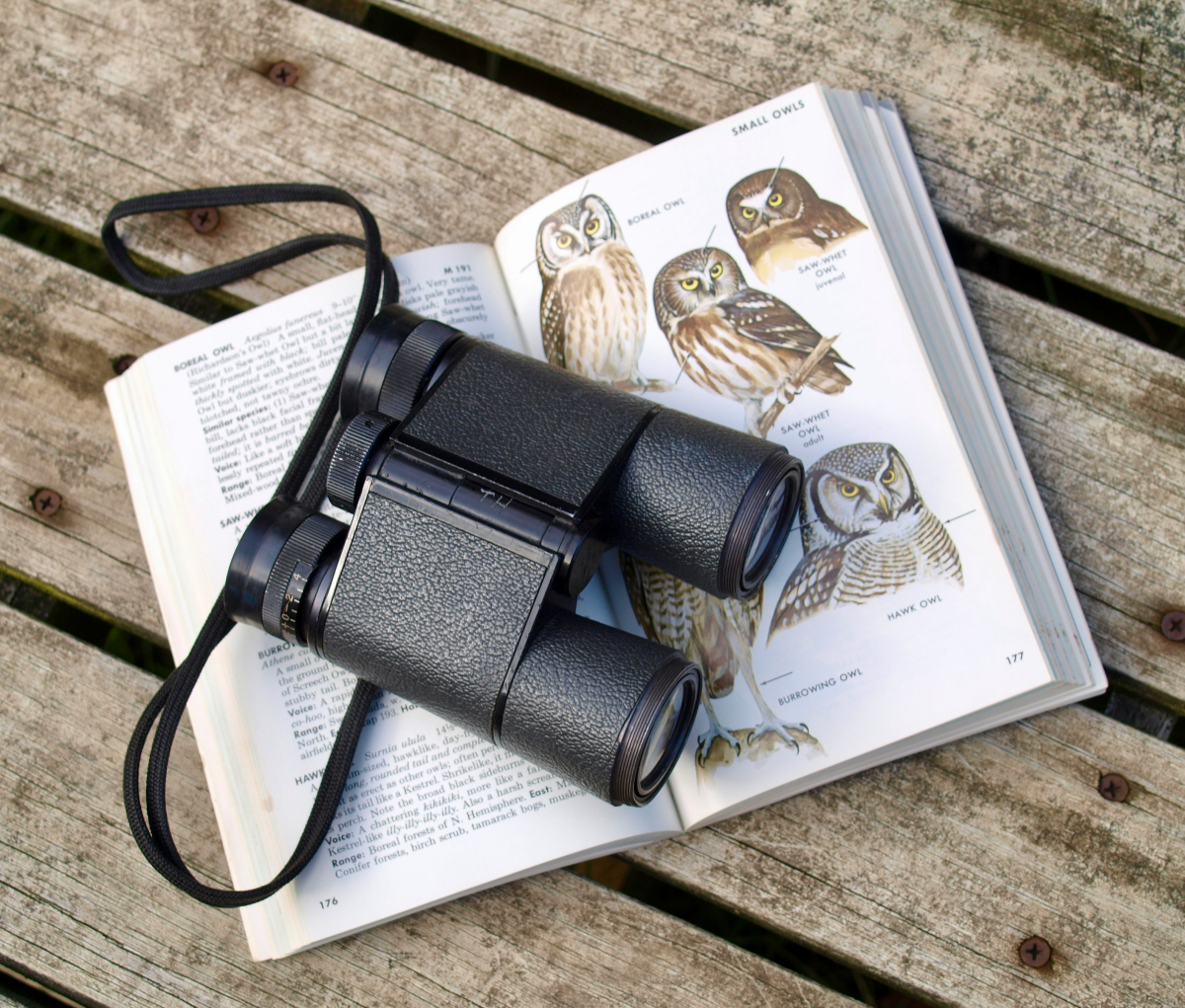 book about birds and binoculars