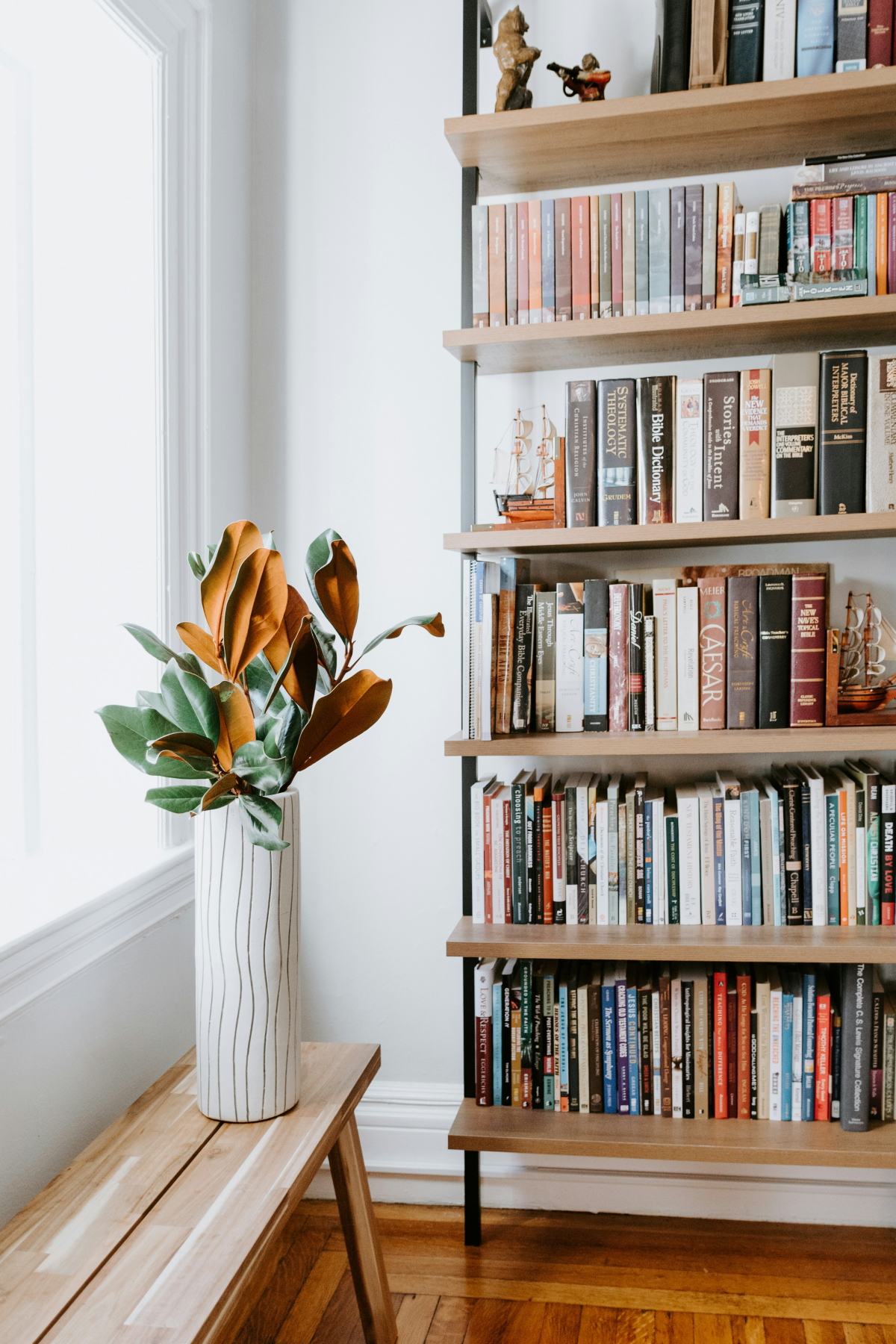 bookshelf at home