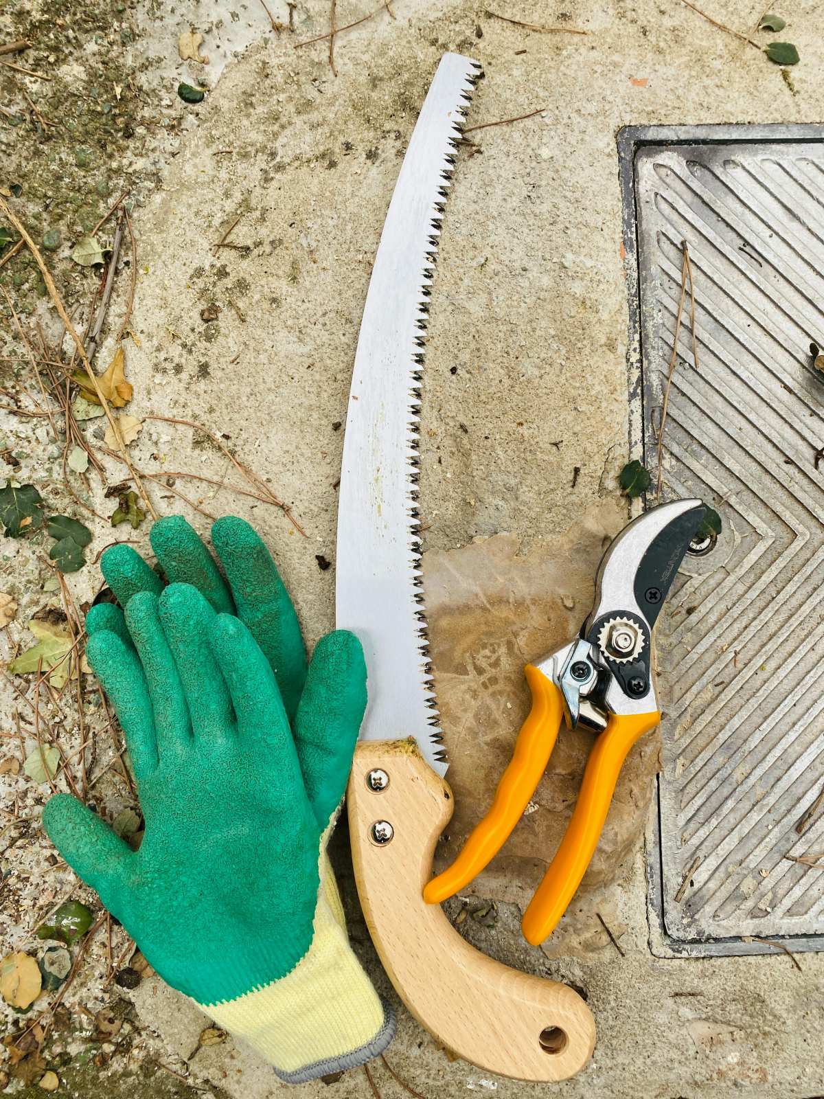 gloves pruning shears