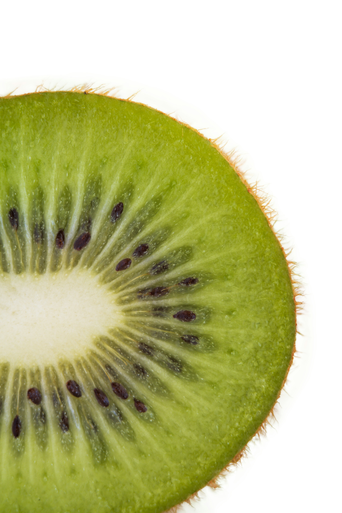 green fruit kiwi up close