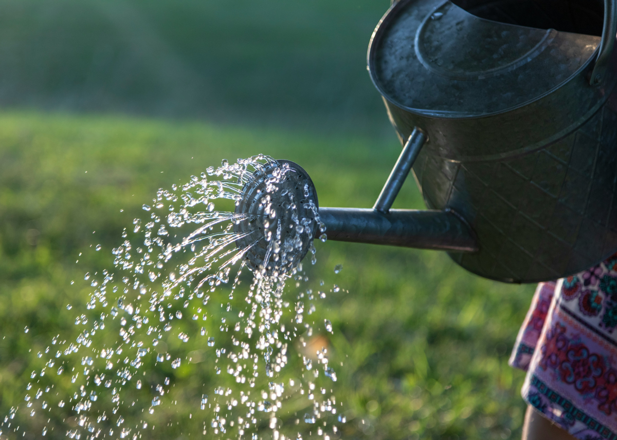 person using a watering can