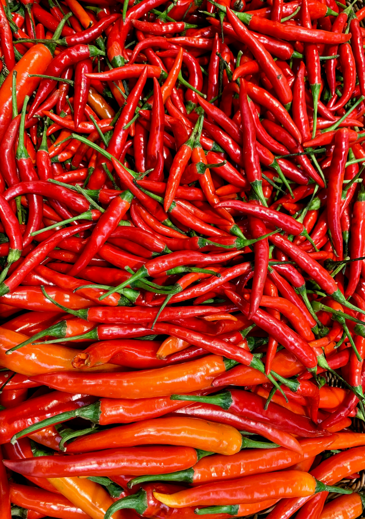 red hot cayenne pepper