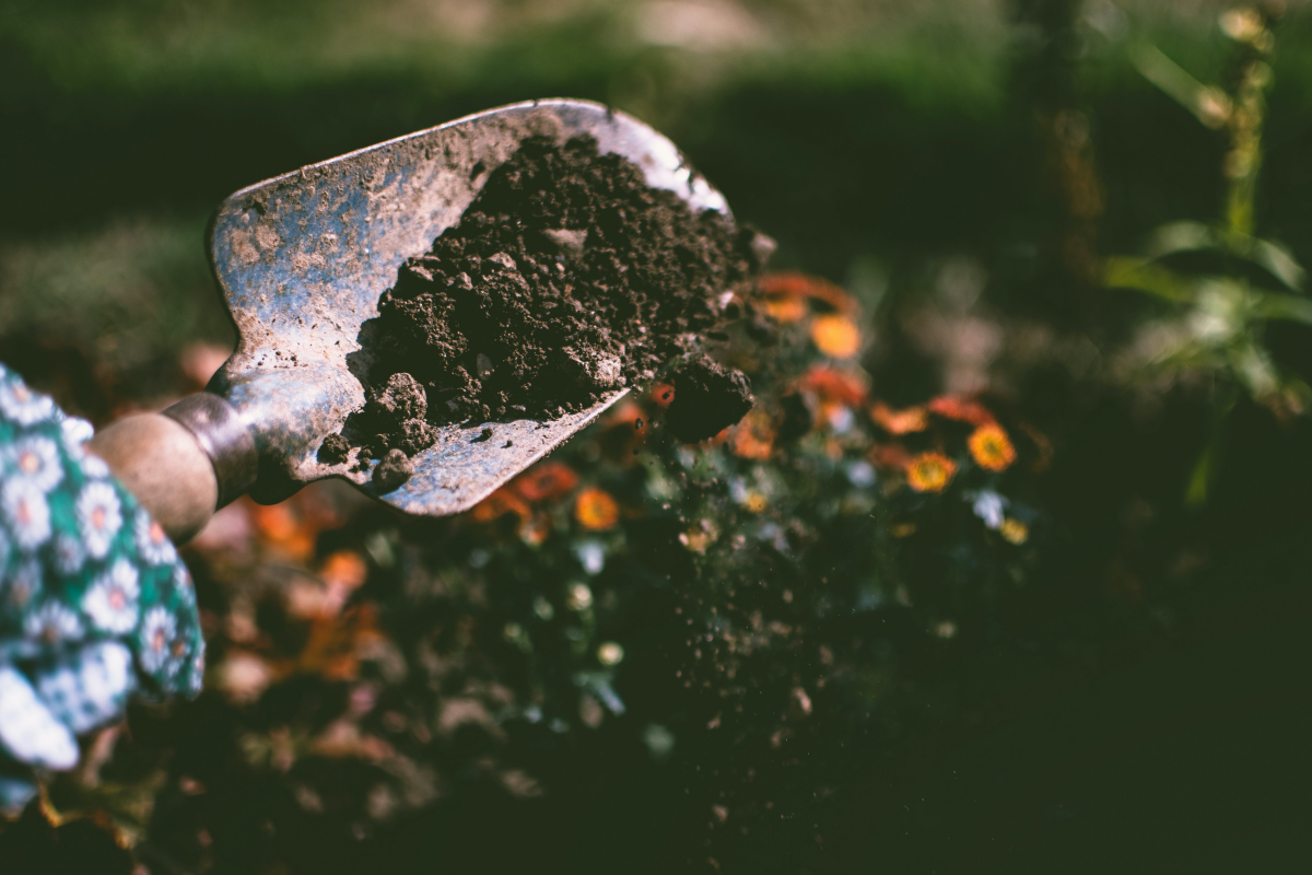 soil with shovel