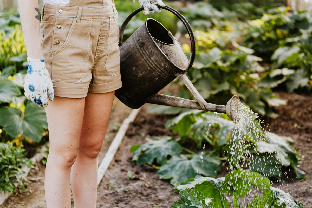 woman gardening with watering can
