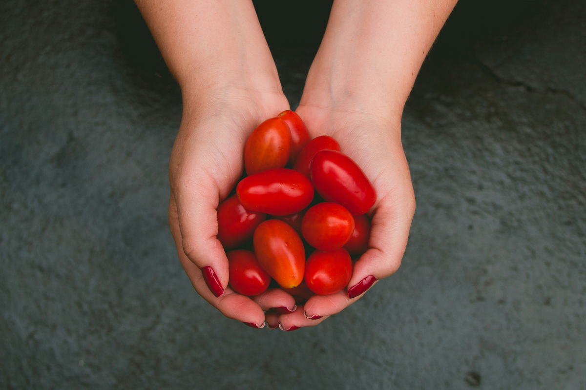 woman holding plum tomatoes in palm