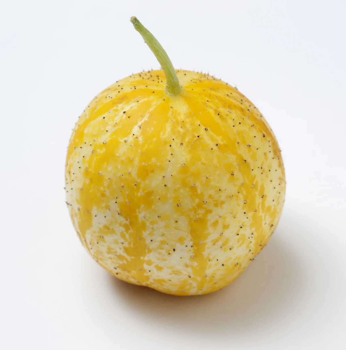 yellow cucumber fruit