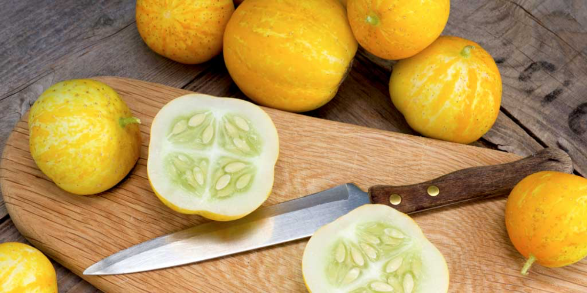From Planting To Plating: The Ultimate Guide To Lemon Cucumber