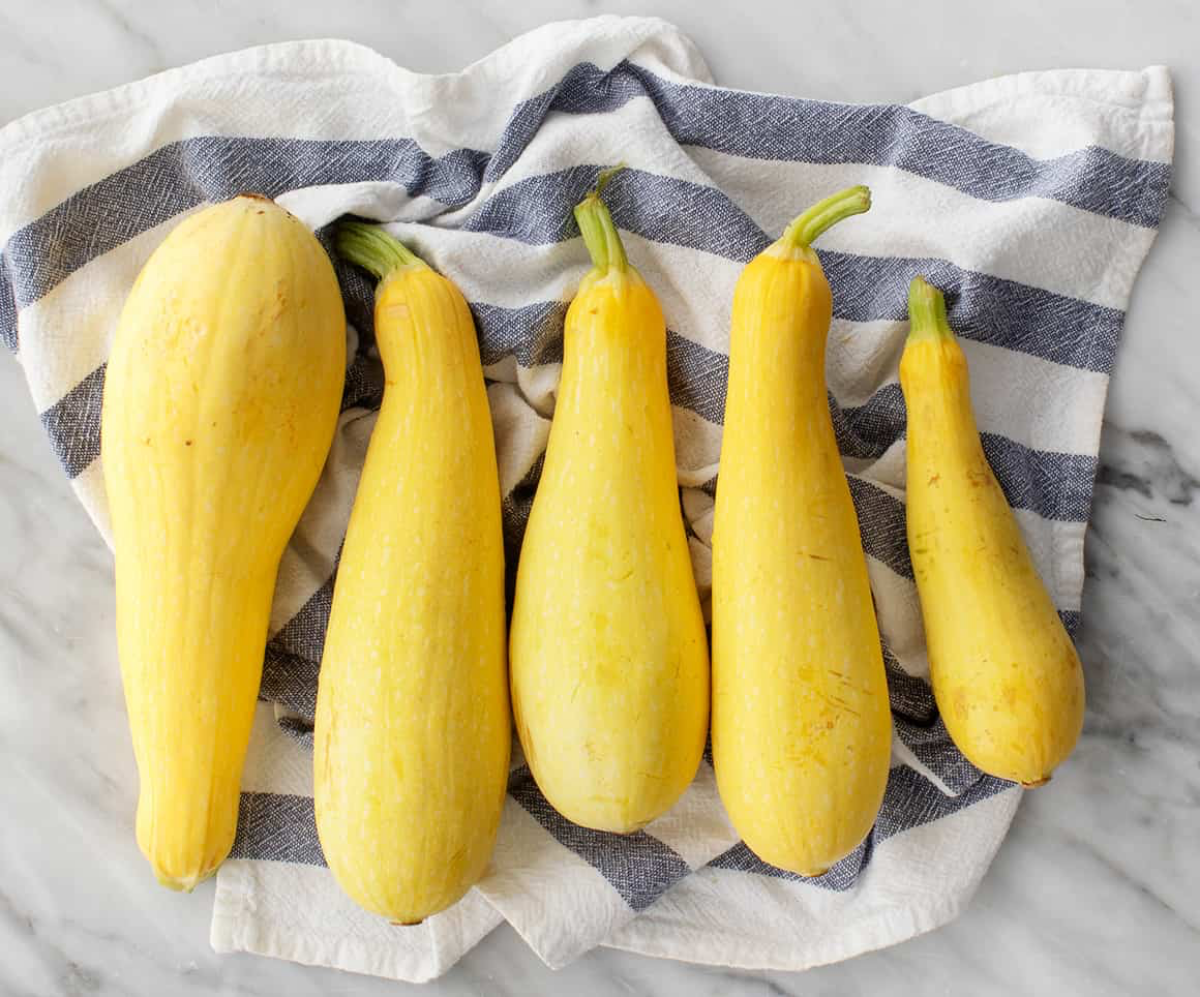 yellow zucchinis squash