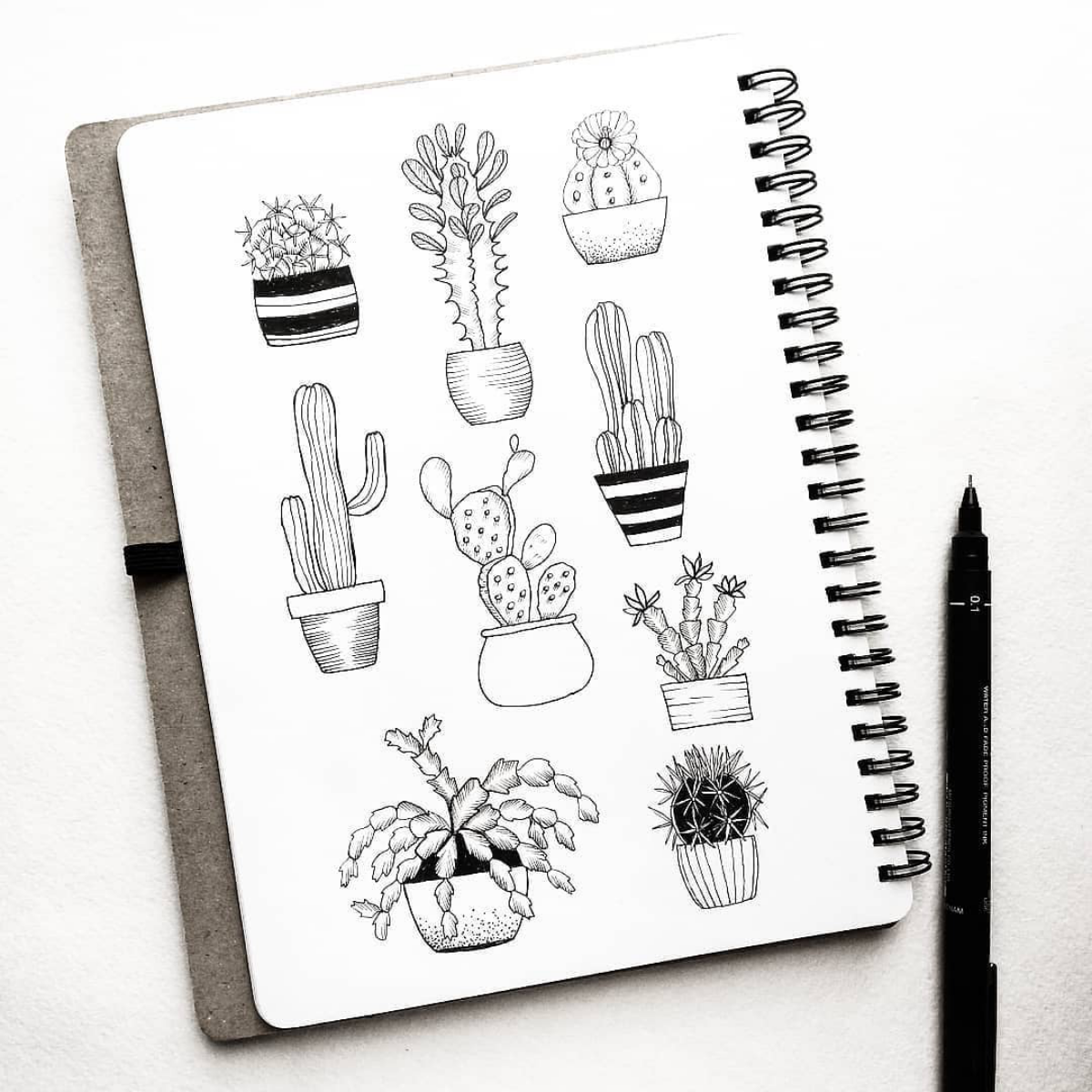 black and white drawing of cacti