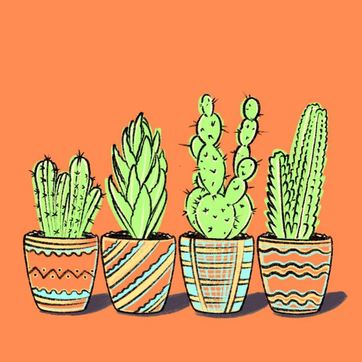 cactus doodles in pots