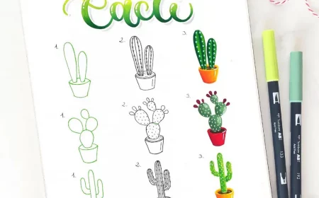 cactus drawing different cacti drawings