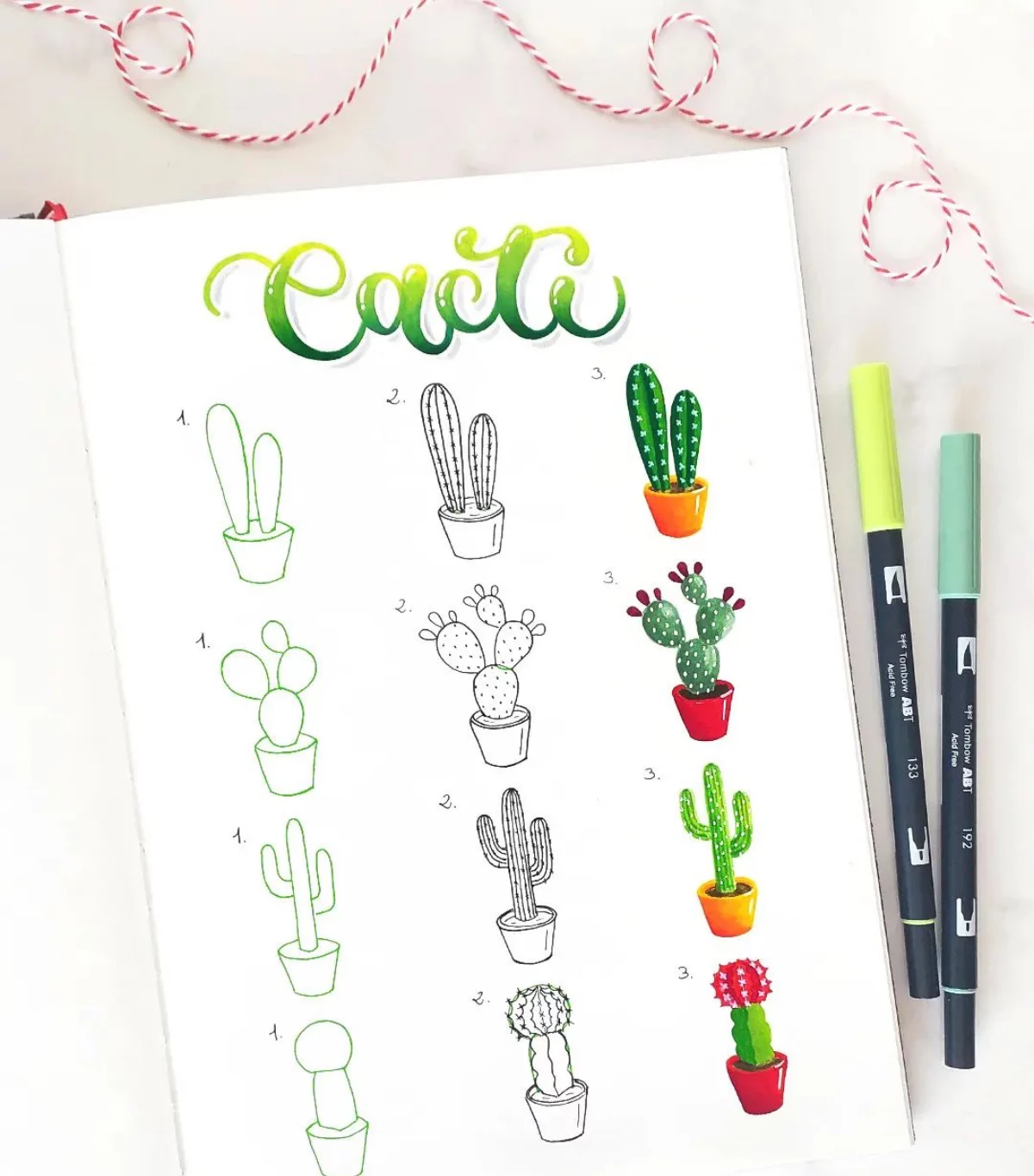 cactus drawing different cacti drawings