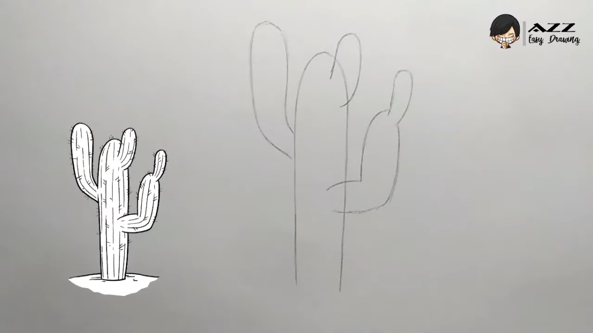 cactus drawing tutorial