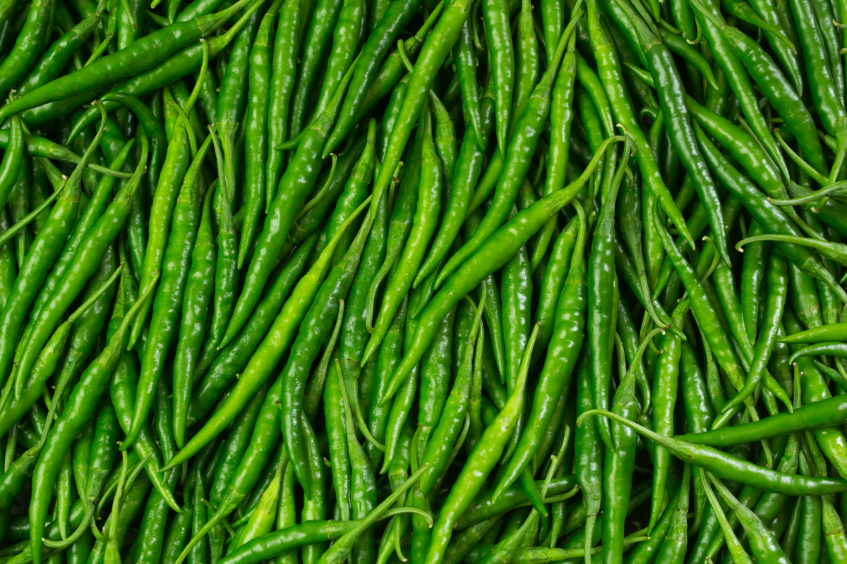 green beans vs string beans beans in bulk