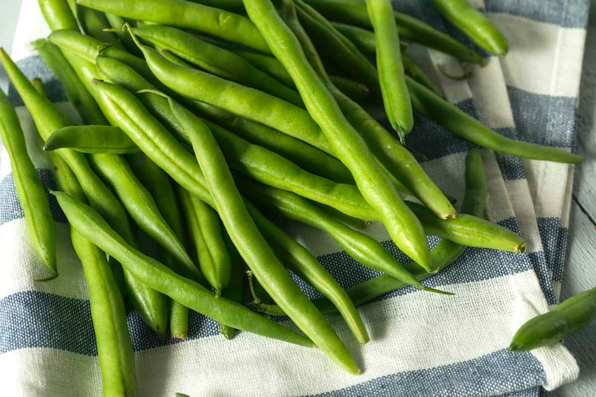 green beans vs string beans beans