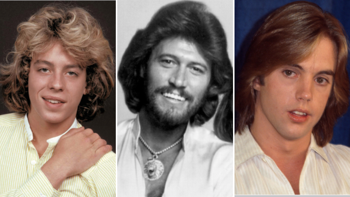 men's hairstyles in the 70s music heartthrobs in the 70s