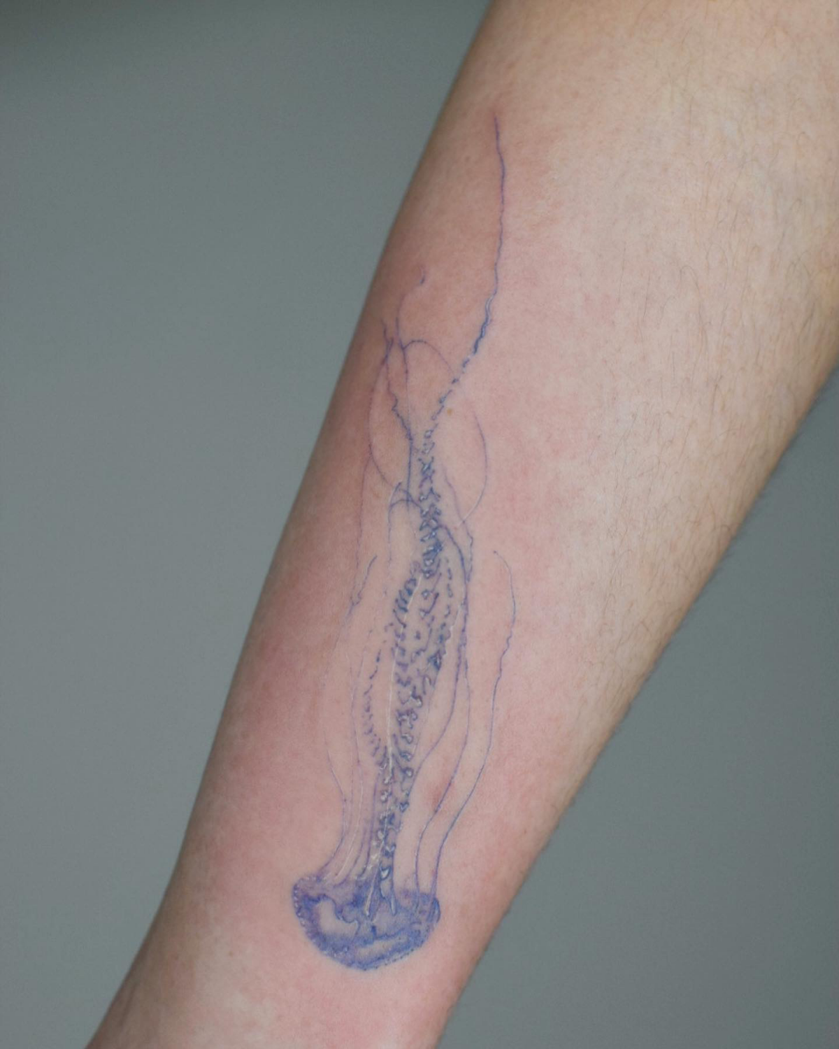 ocean tattoo ideas jellyfish