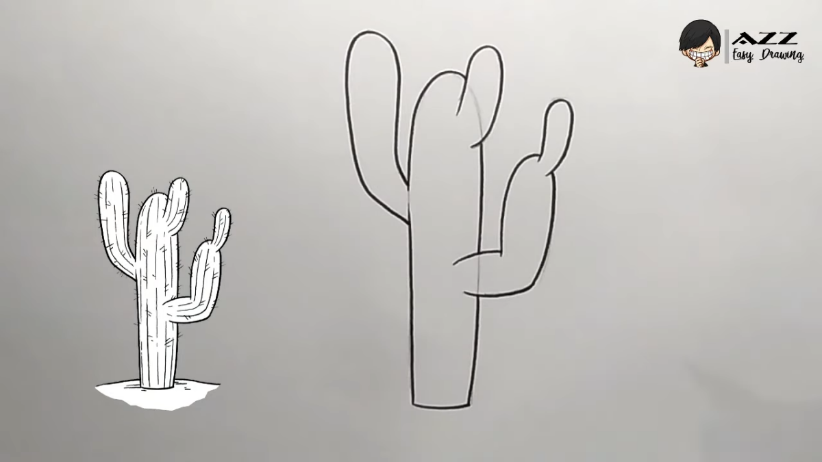 outline your cactus drawing