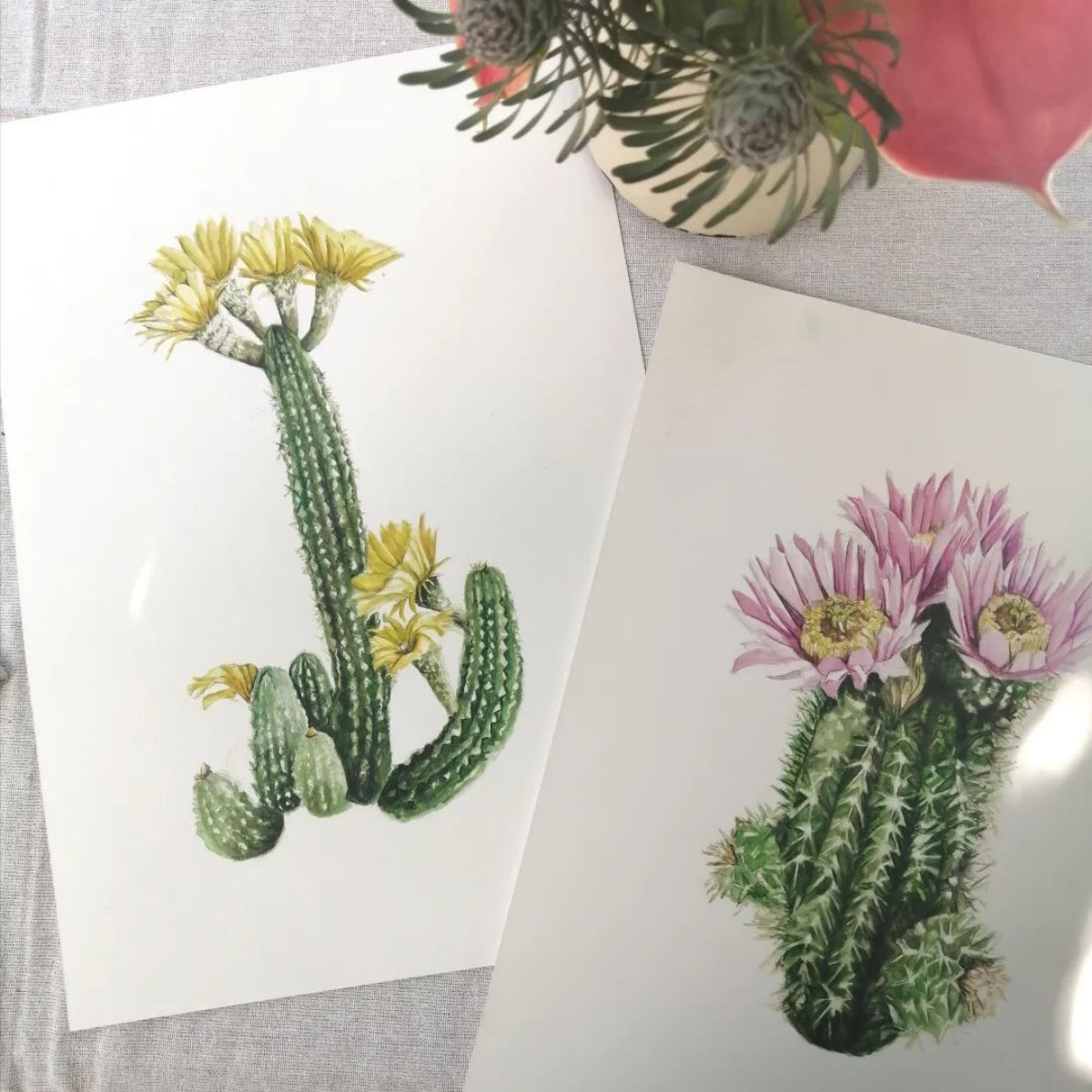 painted cacti with flowers