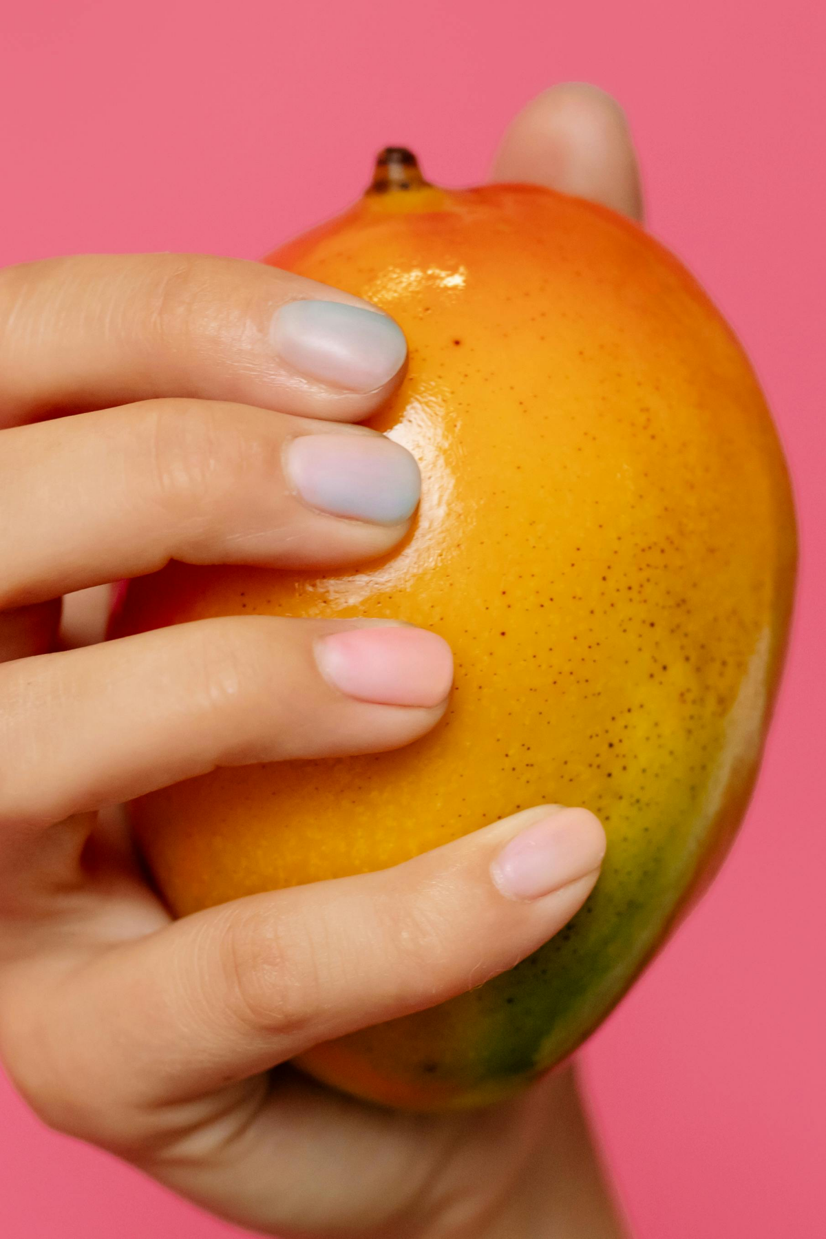 person holding mango
