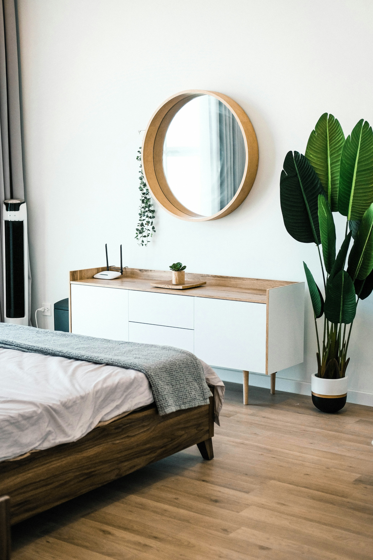 plant in bedroom