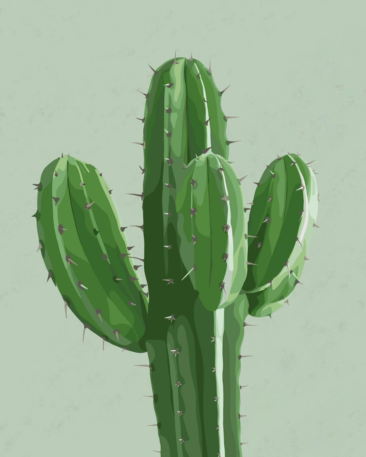 realistic cactus drawing