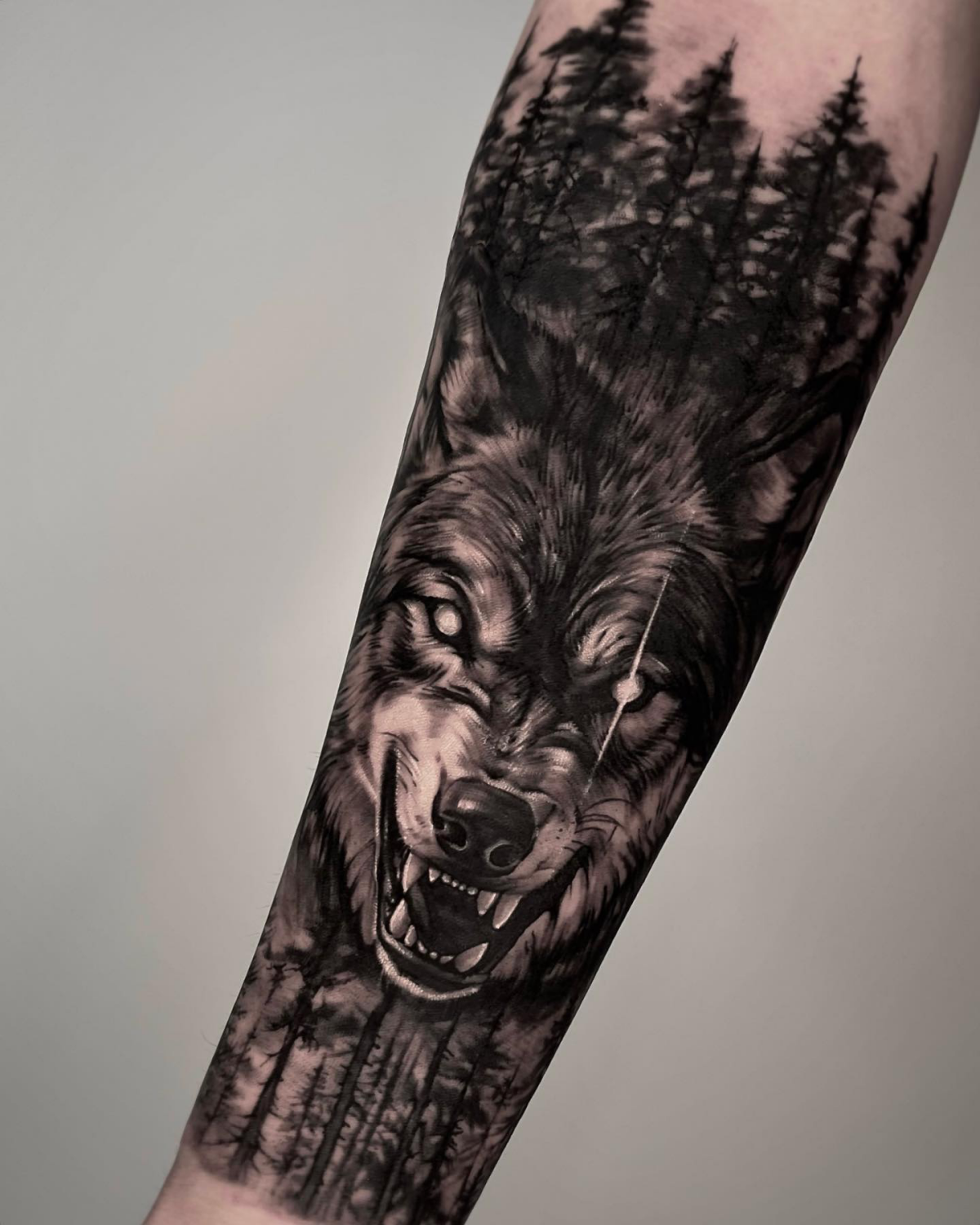realistic forest and wolf