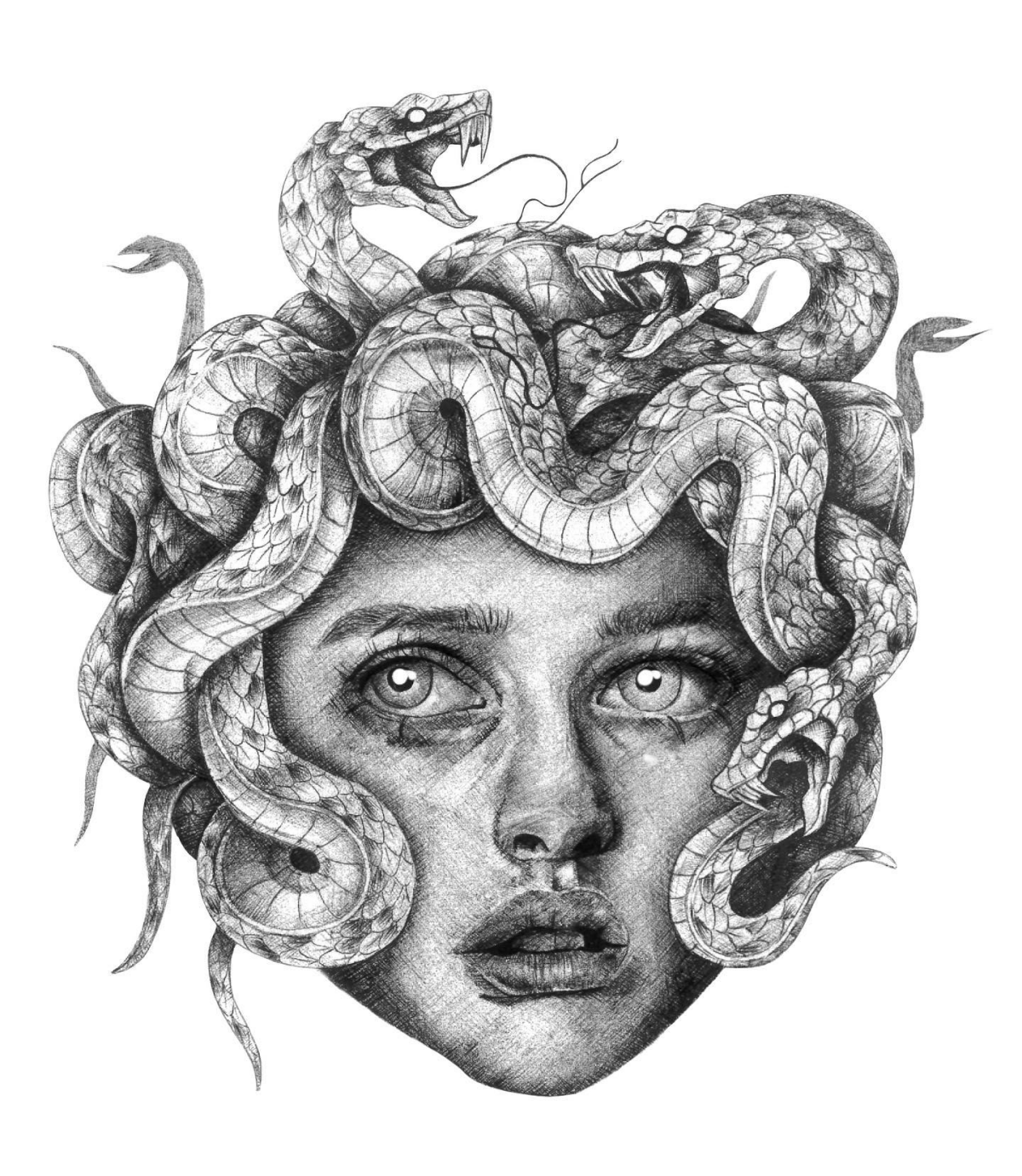 realistic medusa drawing face