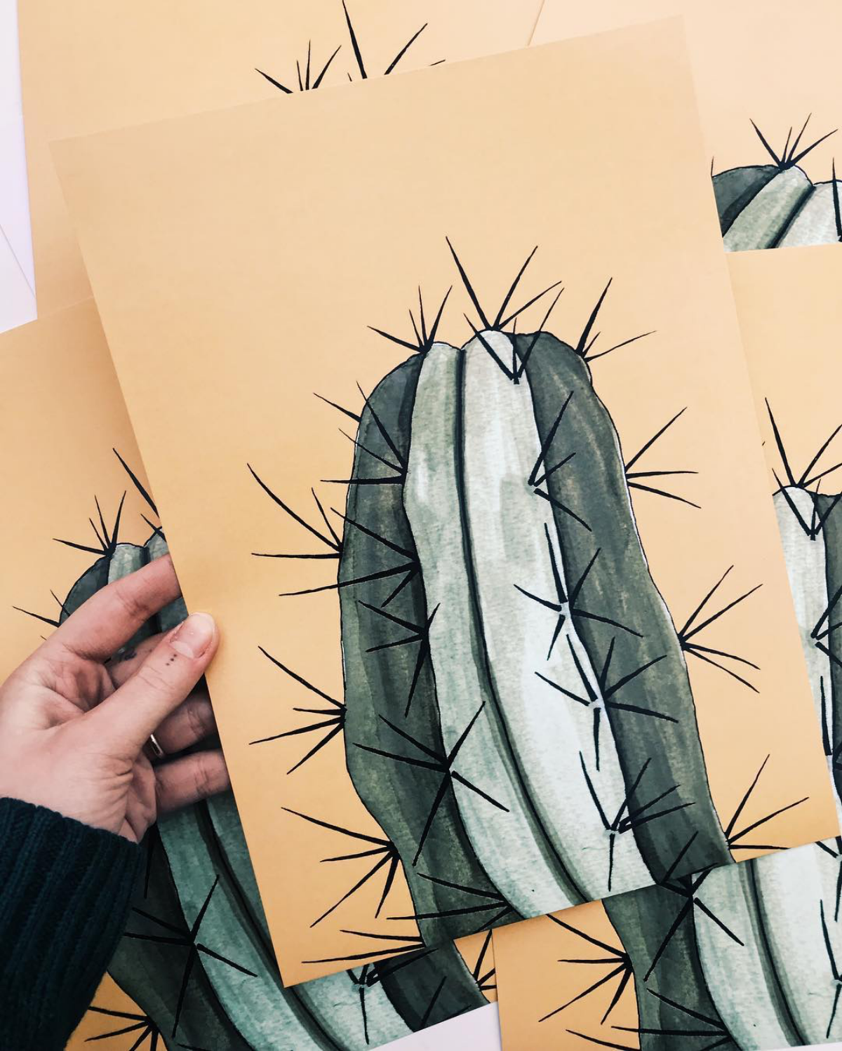 spiky cactus drawing
