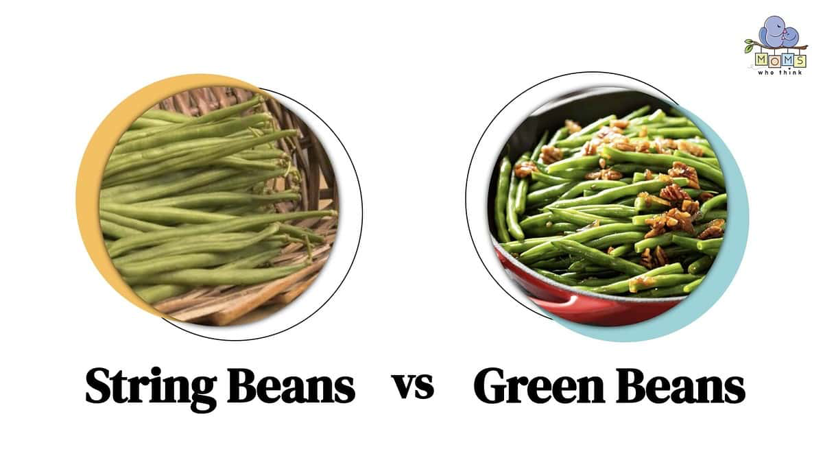 string beans vs green beans pictures
