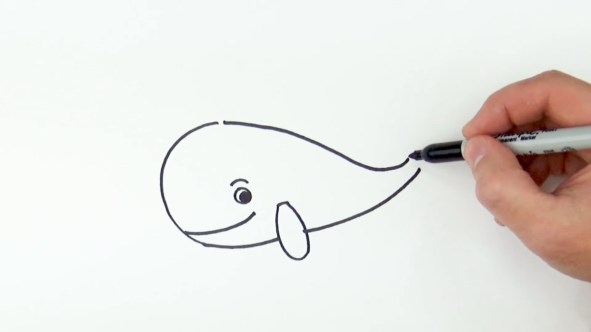 how to draw a whale drawing the body