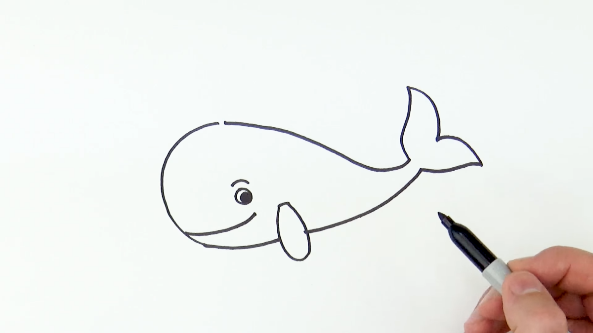 how to draw a whale easy drawing a tail