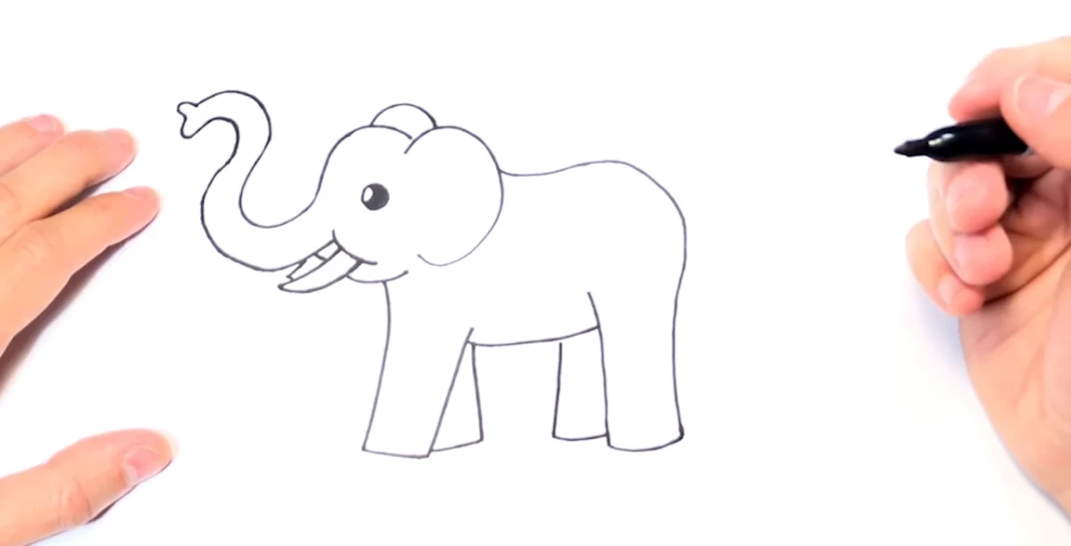 how to draw a elephant add the inner legs