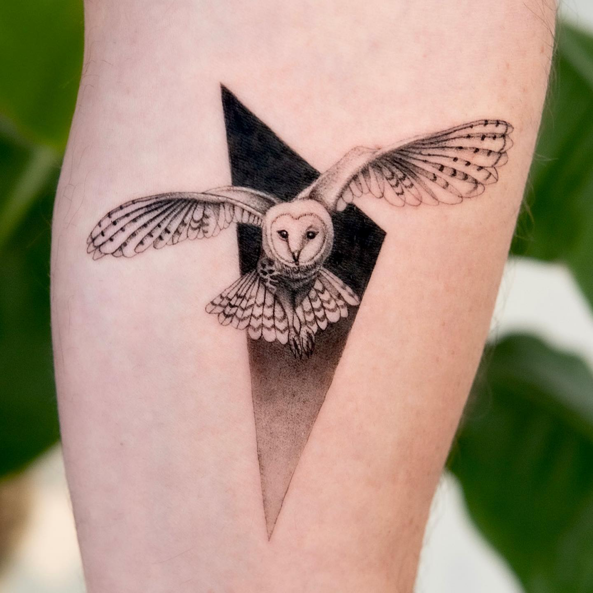 barn owl tattoo microrealism